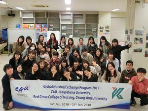 2017 cau3