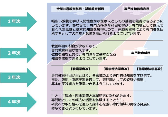 カリキュラムの特色