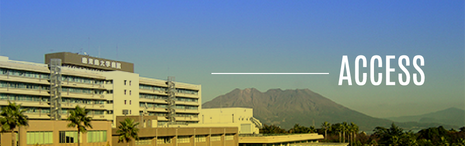 ACCESS